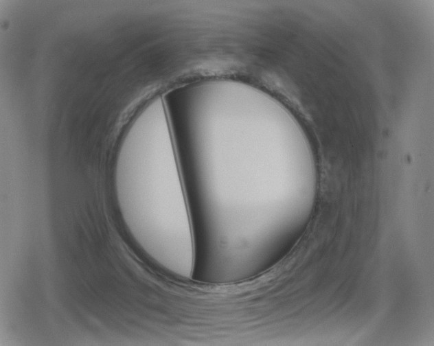 X0000080720019200612150849