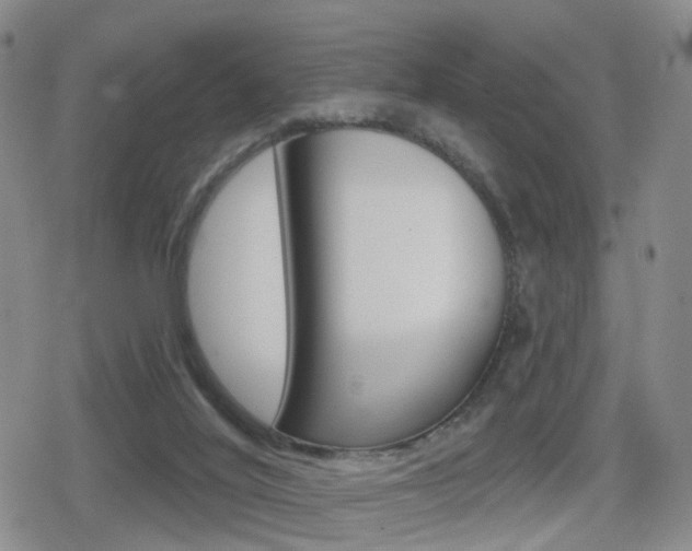 X0000080720020200612150849