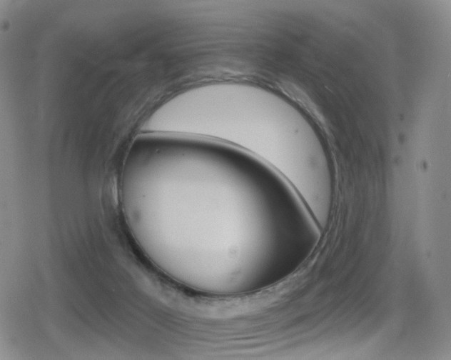 X0000080720021200612150849