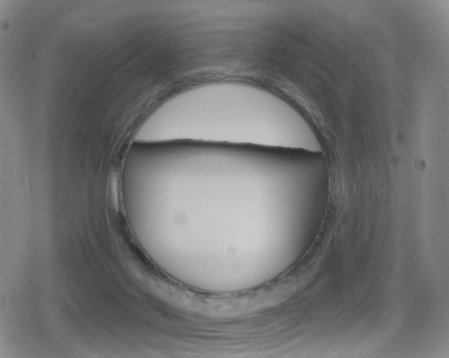 X0000080720022200612150849