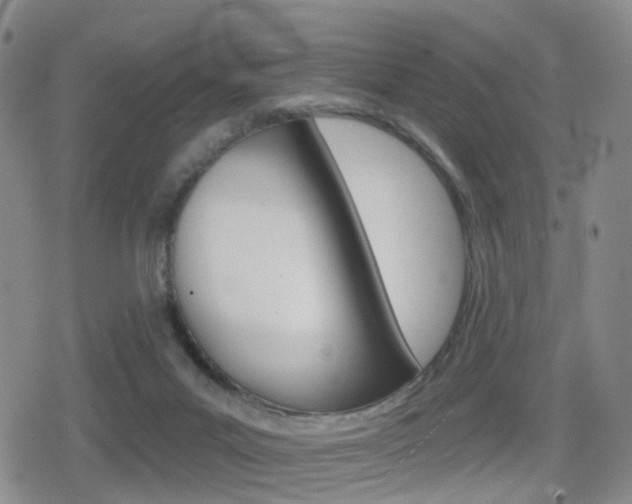 X0000080720023200612150849