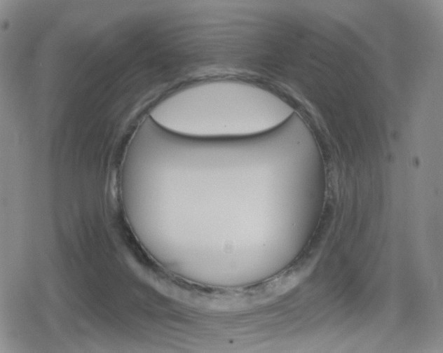 X0000080720024200612150849