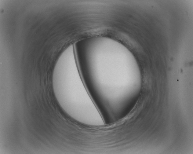 X0000080720025200612150849