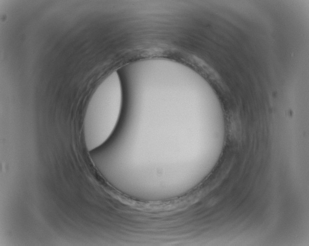 X0000080720026200612150849