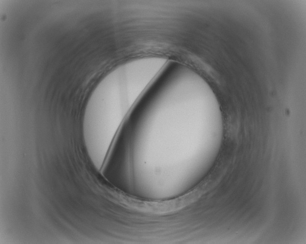 X0000080720027200612150849