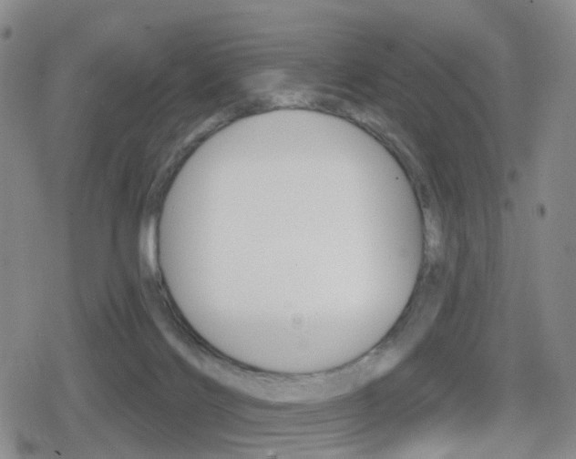 X0000080720028200612150849