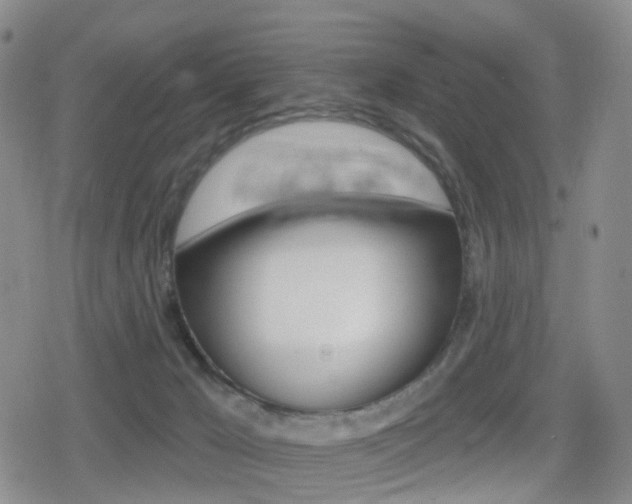 X0000080720029200612150849