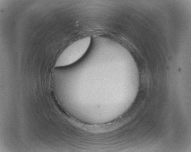 X0000080720030200612150849