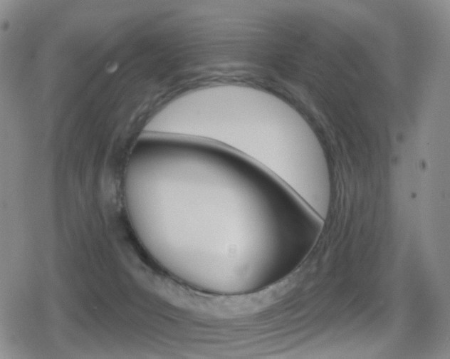 X0000080720031200612150849