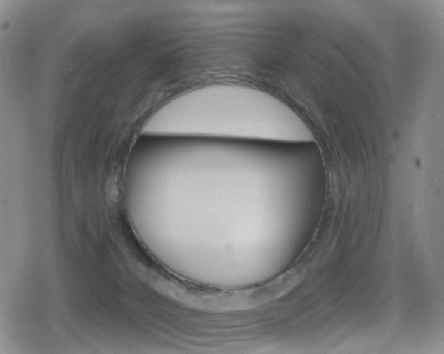 X0000080720032200612150849