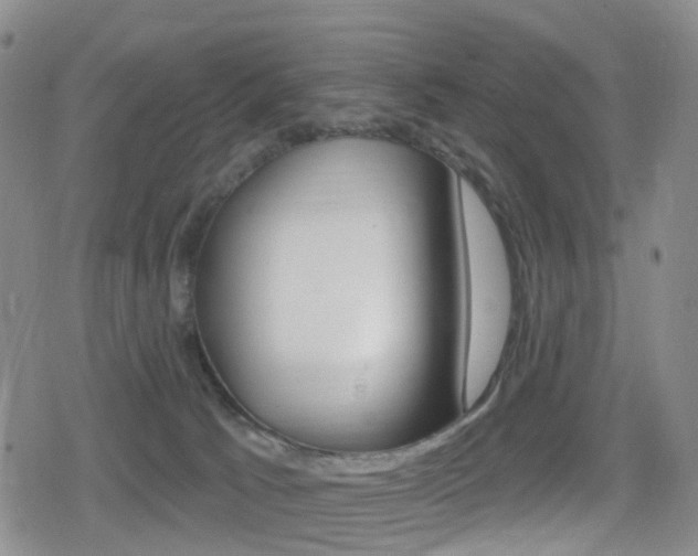 X0000080720033200612150849