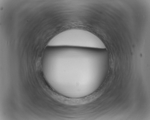 X0000080720034200612150849