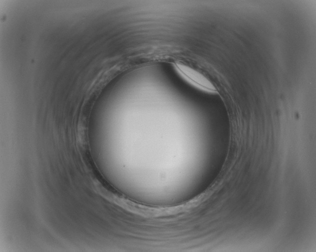 X0000080720035200612150849