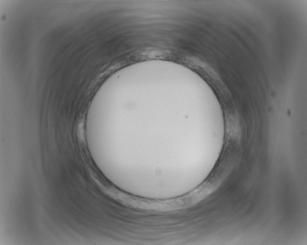 X0000080720036200612150849