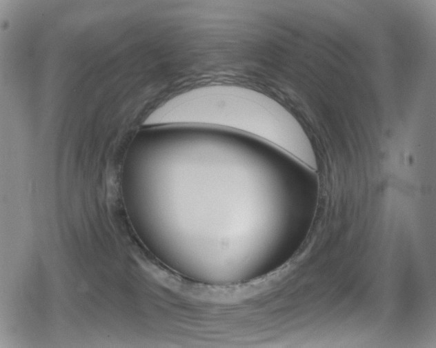 X0000080720037200612150849