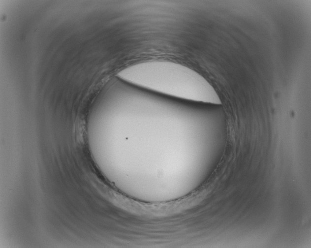 X0000080720038200612150849