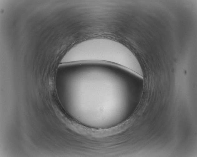 X0000080720039200612150849