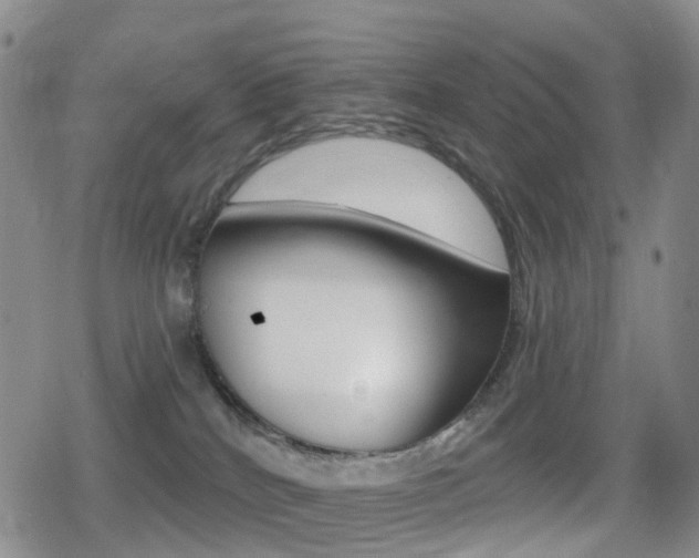 X0000080720040200612150849