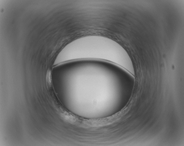 X0000080720041200612150849