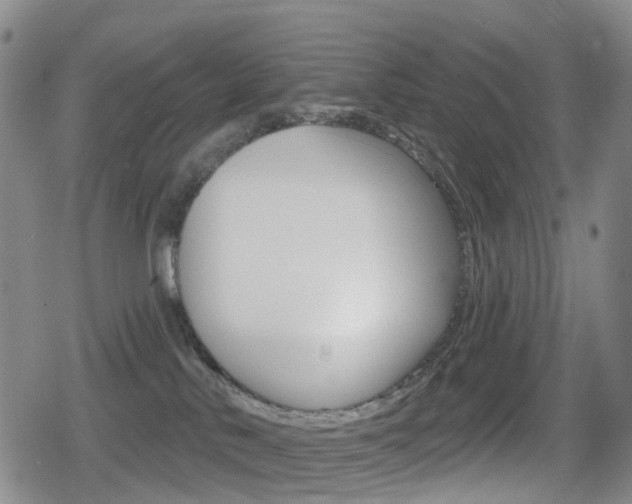 X0000080720042200612150849