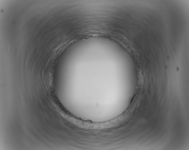 X0000080720043200612150849