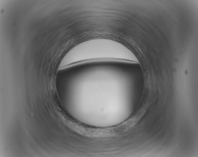 X0000080720044200612150849