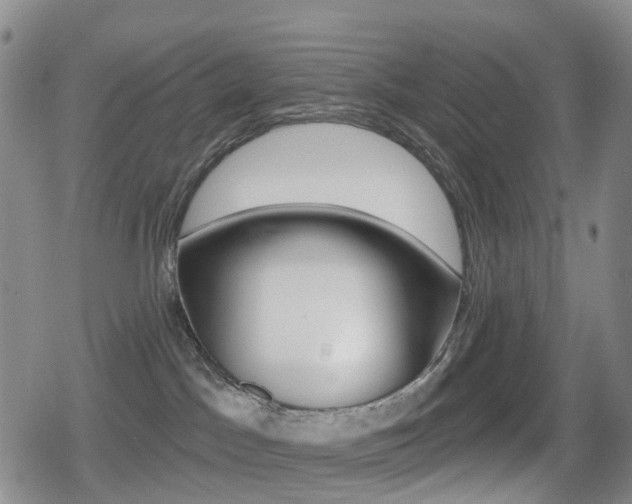 X0000080720045200612150849