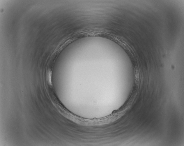 X0000080720046200612150849