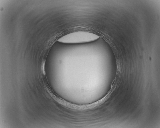 X0000080720047200612150849