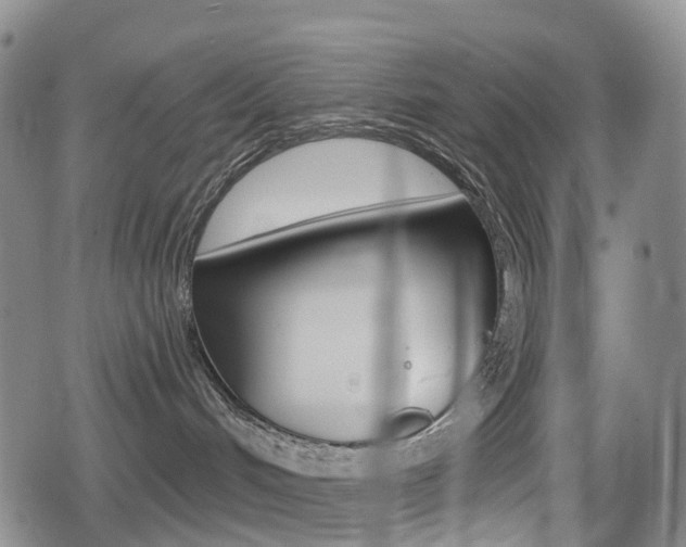 X0000080720048200612150849