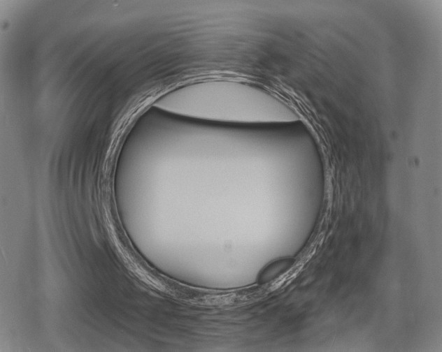 X0000080720049200612150848