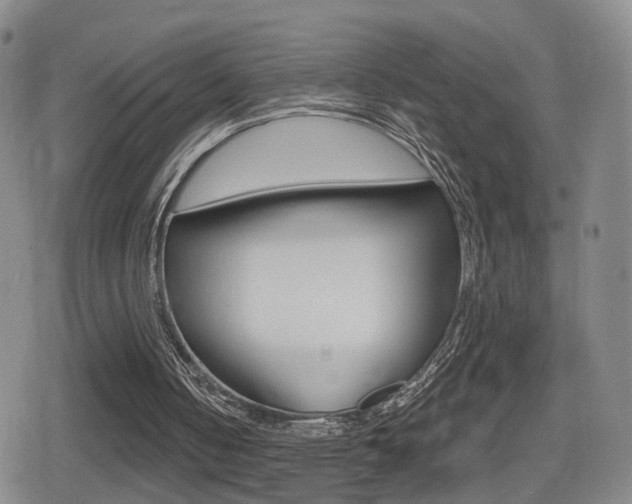 X0000080720050200612150848