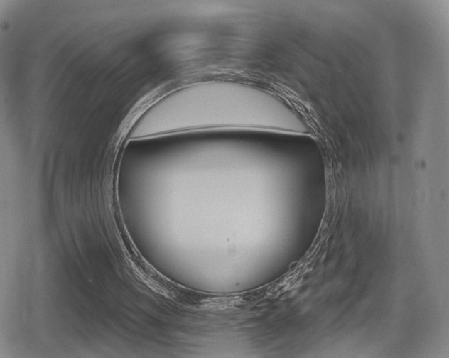 X0000080720051200612150848