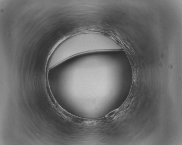 X0000080720052200612150848