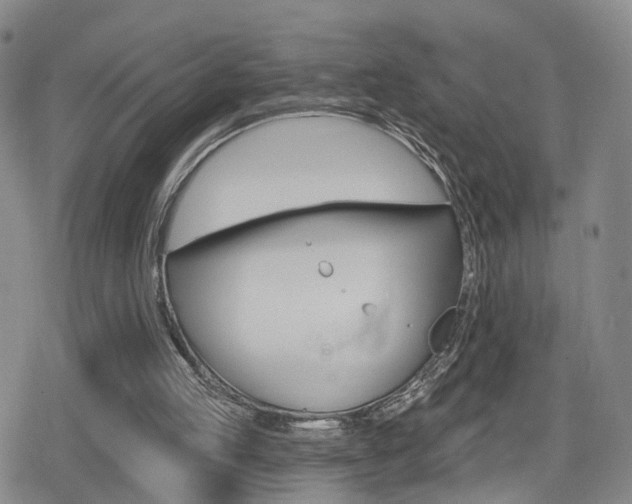 X0000080720053200612150848