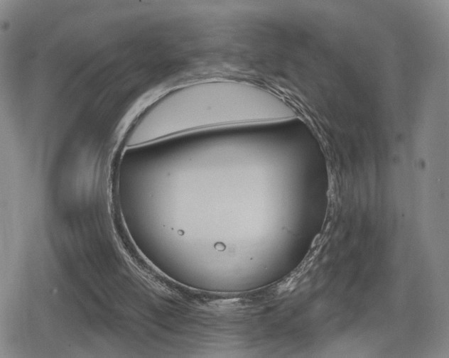 X0000080720054200612150848