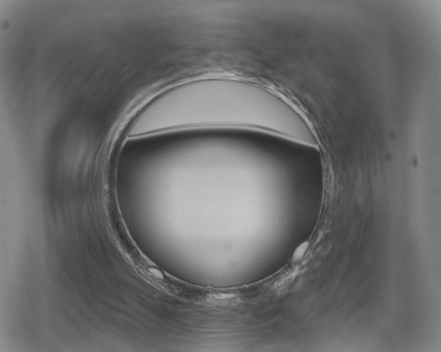 X0000080720055200612150848