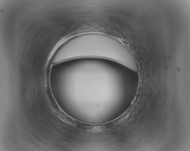 X0000080720056200612150848