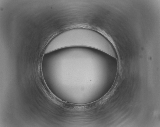 X0000080720057200612150848