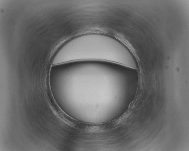 X0000080720058200612150848