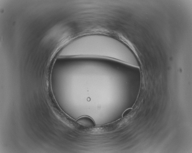 X0000080720059200612150848