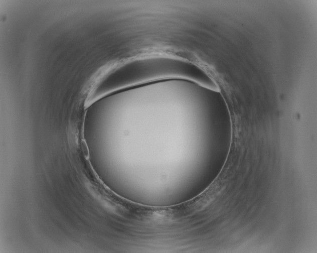 X0000080720060200612150848