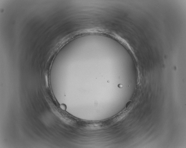 X0000080720061200612150848