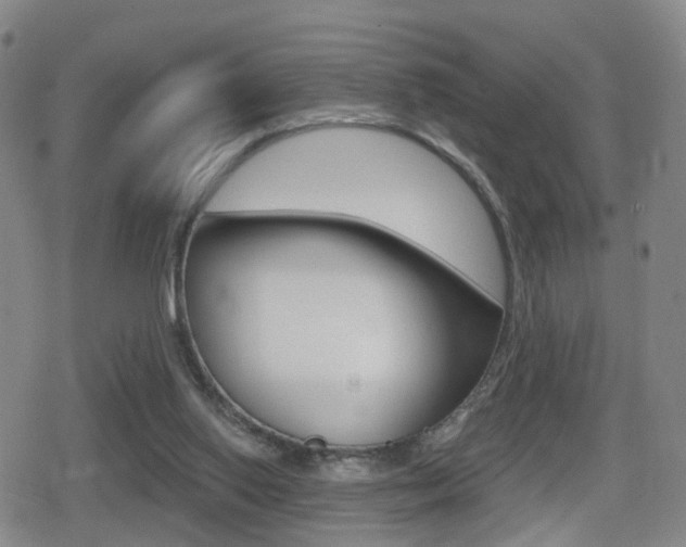 X0000080720062200612150848