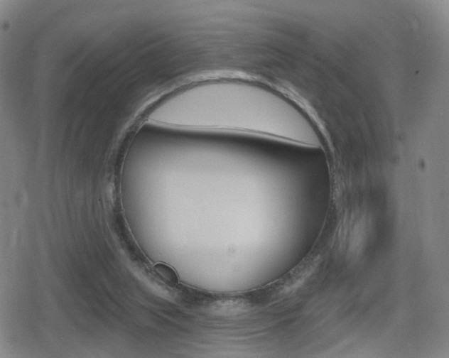 X0000080720063200612150848