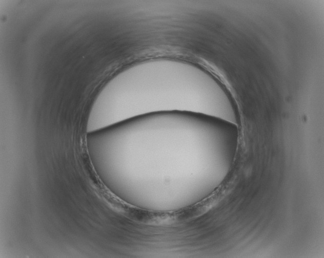 X0000080720065200612150848