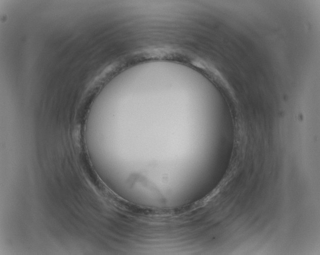 X0000080720066200612150848