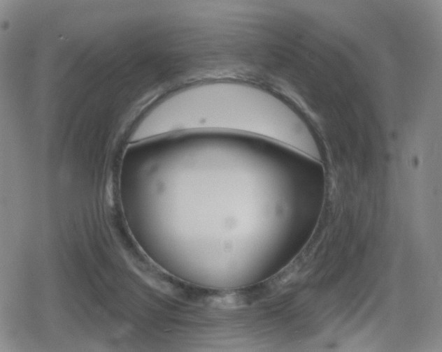 X0000080720068200612150849