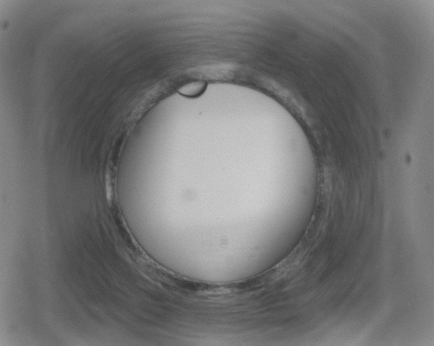 X0000080720069200612150849