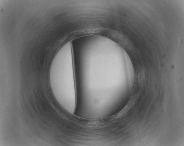 X0000080720070200612150849